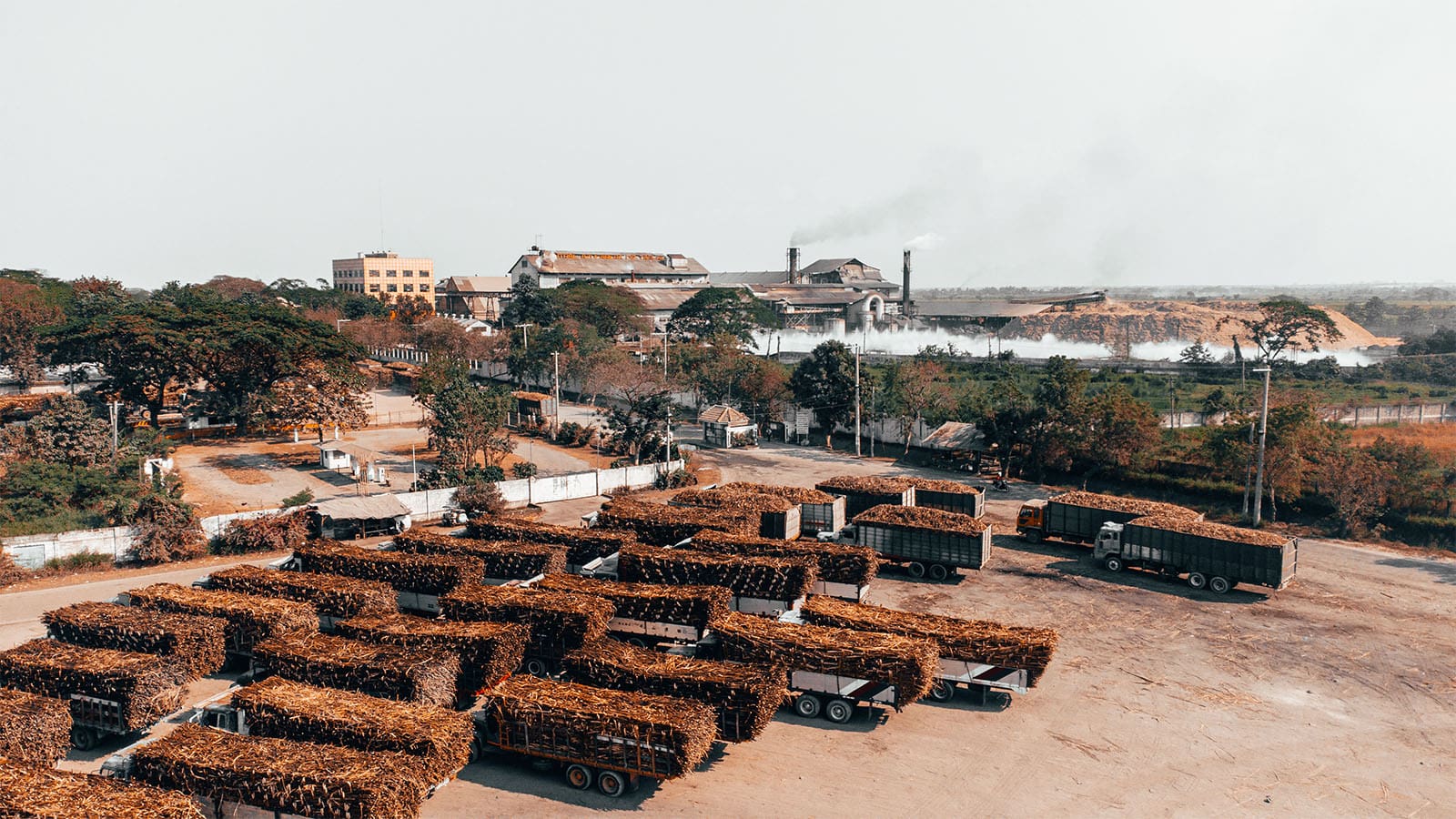 luisita rum distillery