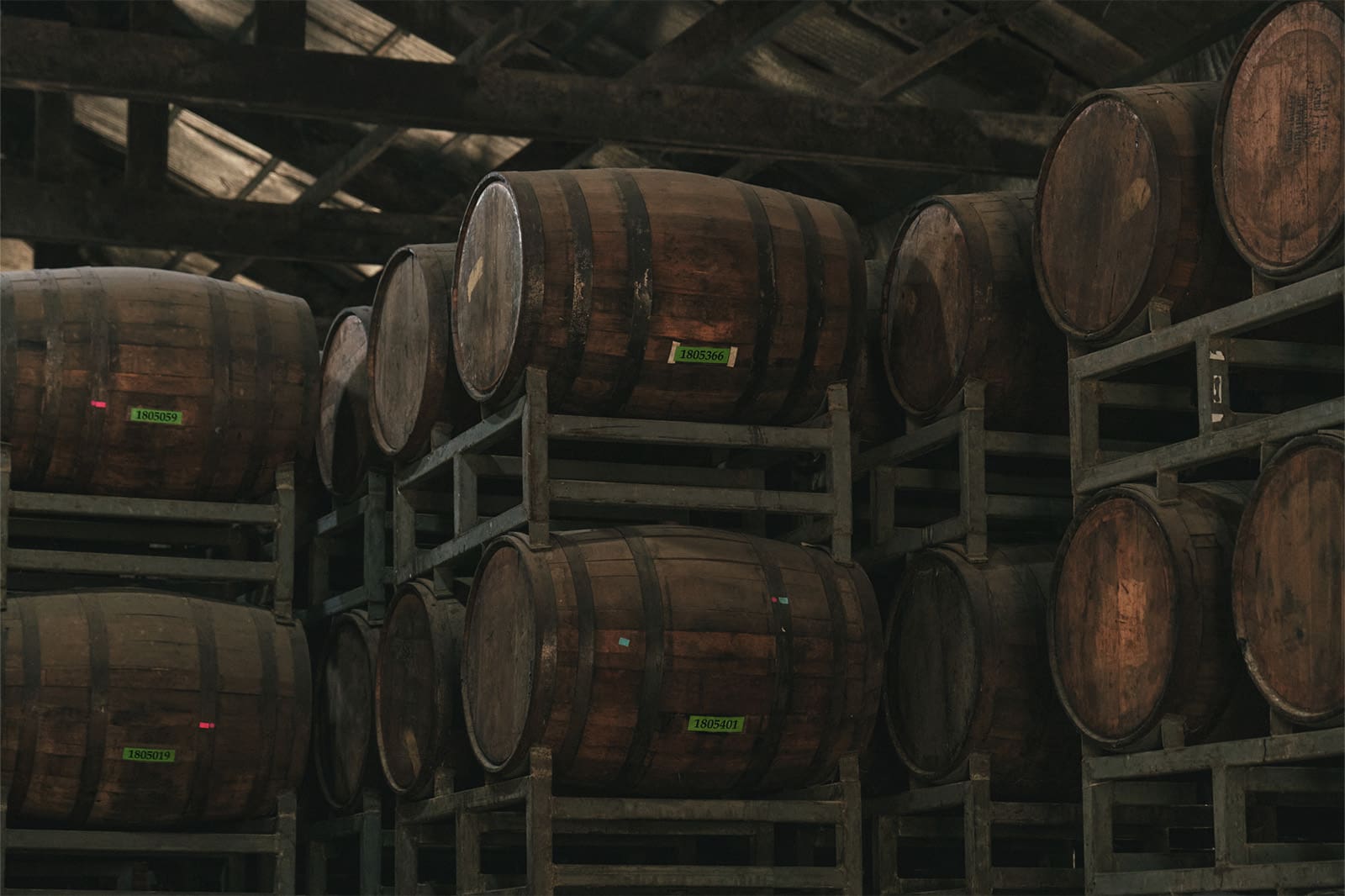 luisita rum barrels