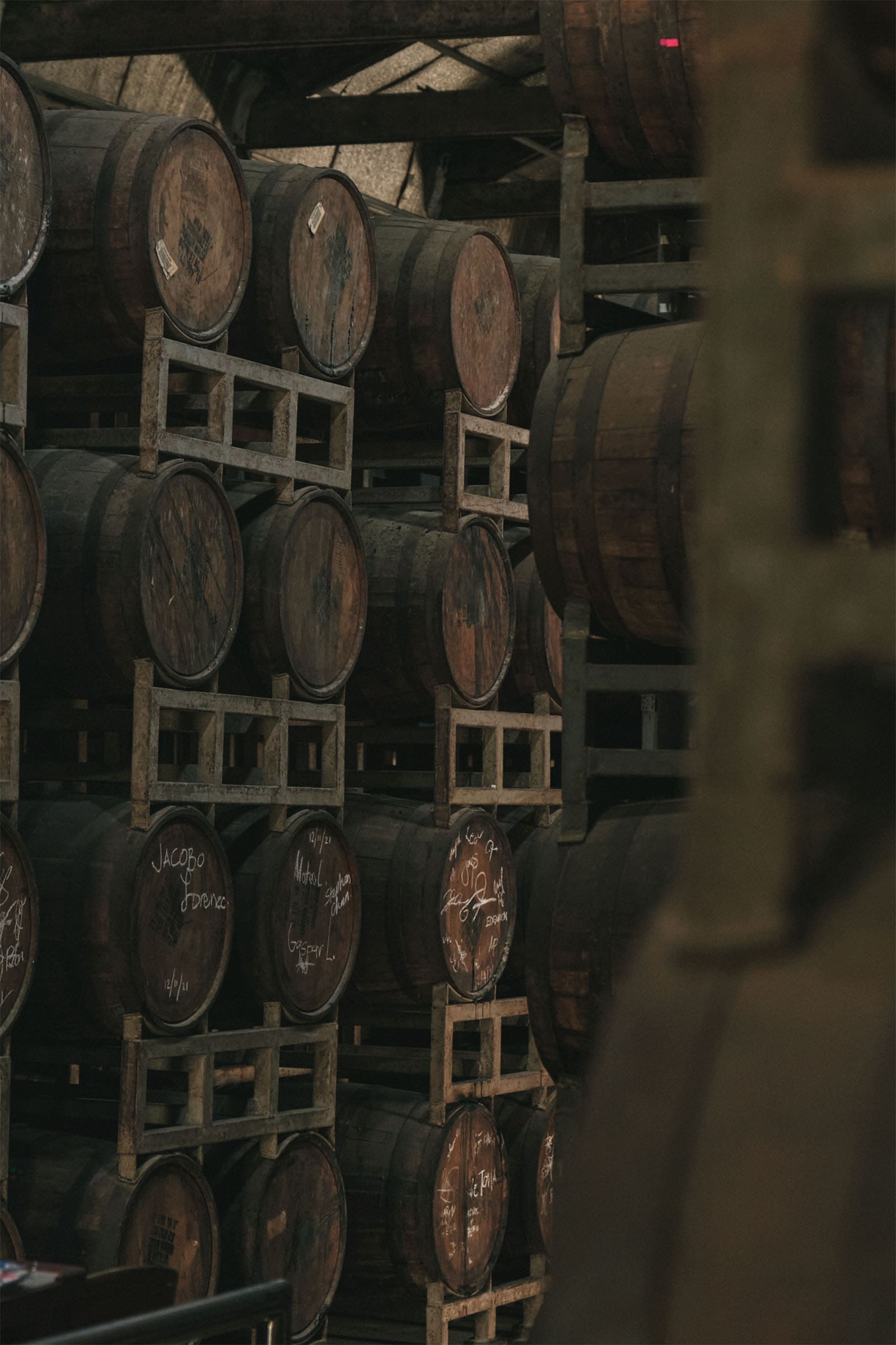 luisita rum casks
