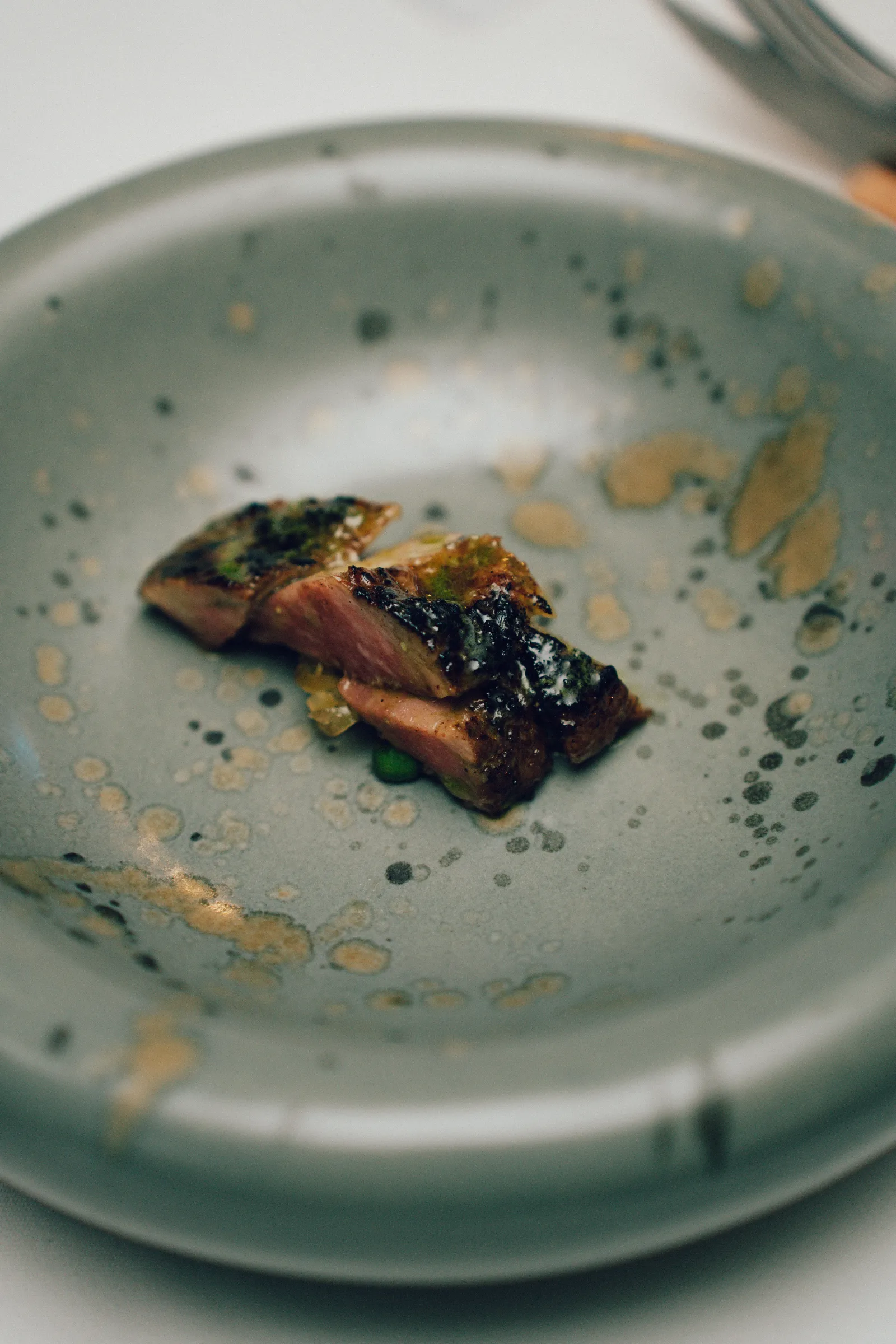 Small piece of grilled meat with herbs on a blue speckled plate.