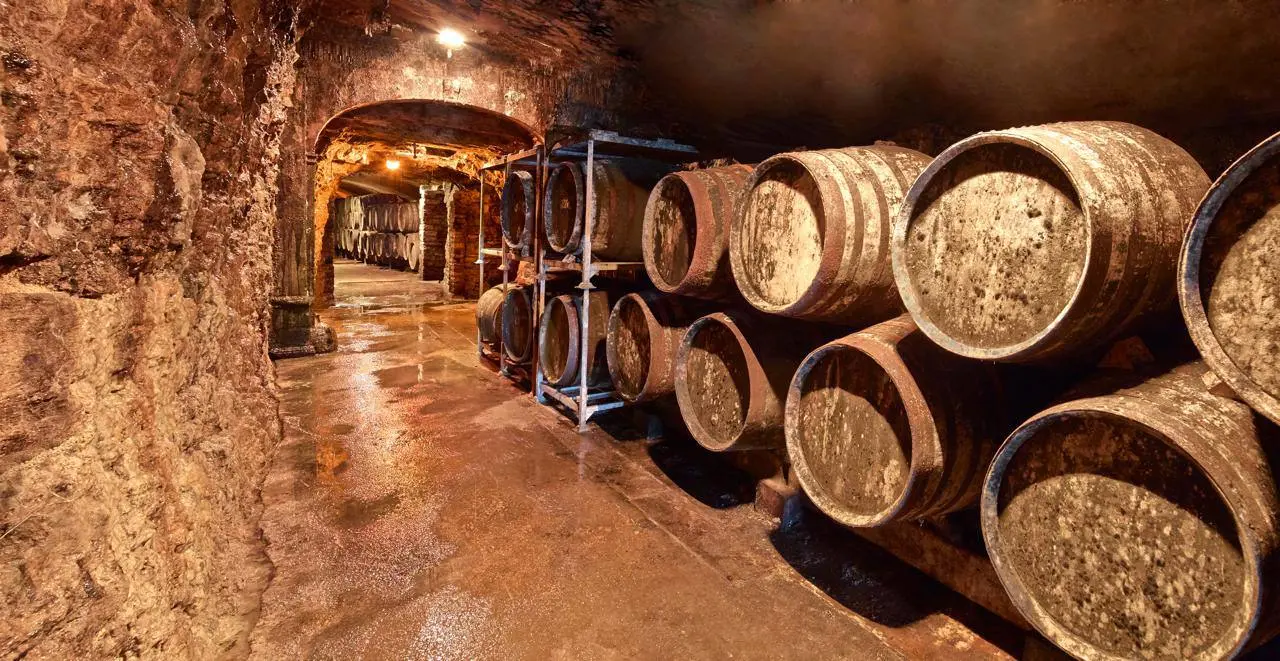 Underground wine cellar with wooden barrels stored on metal racks along a damp stone wall.