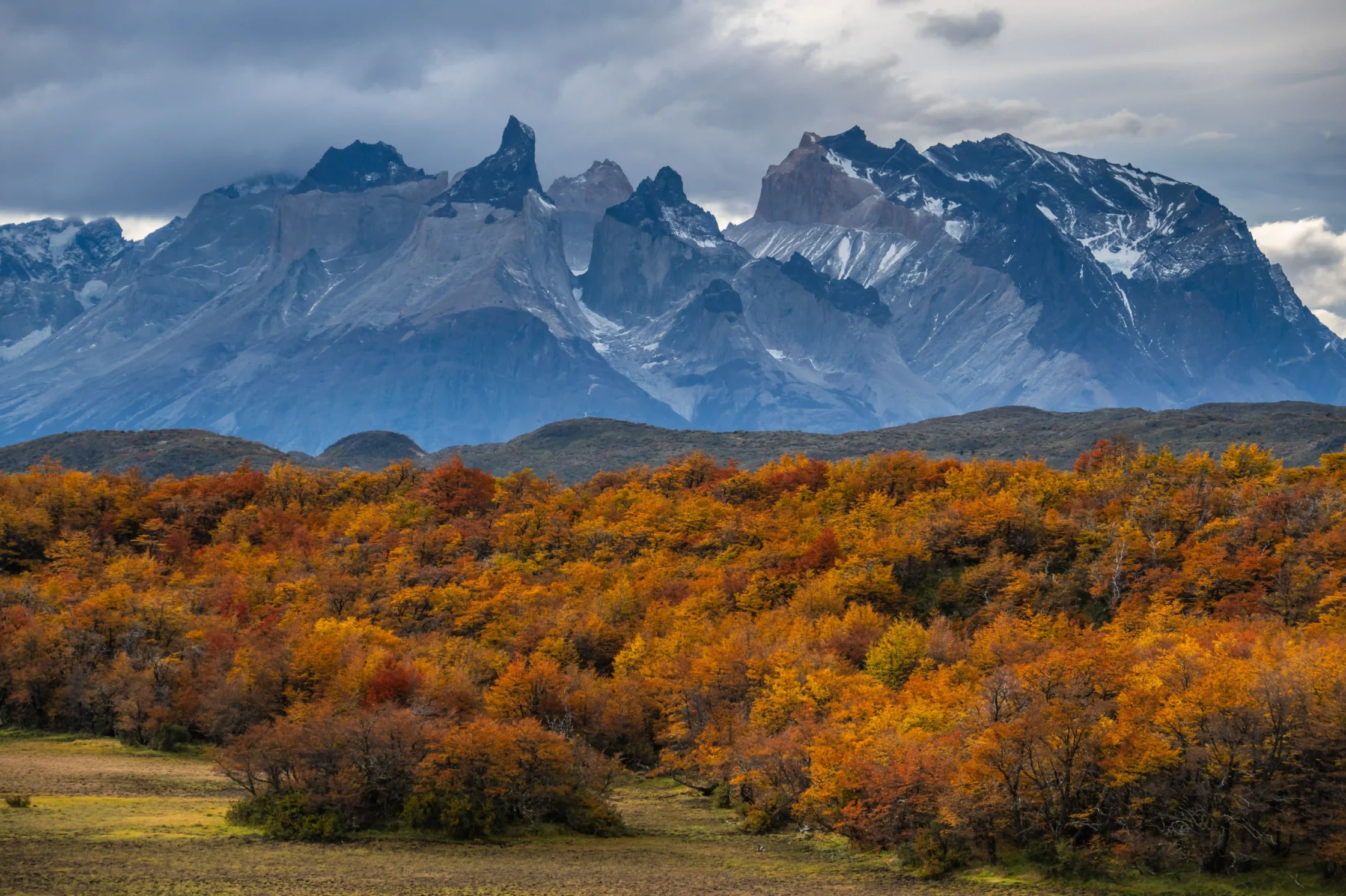 Snow-capped mountains under a grey sky with an orange autumn forest in the foreground.] ,Oops